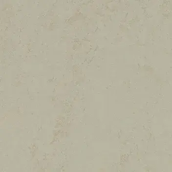 Marmoleum Solid - Görsel 2